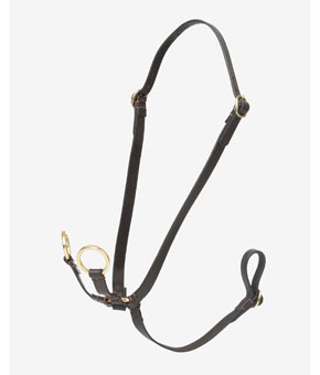 LeMieux Hobby Horse Running Martingale Brown