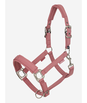 LeMieux Essence Headcollar - Rosewood