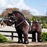 LeMieux Toy Pony Hunter Saddle Pad And Girth - Brown