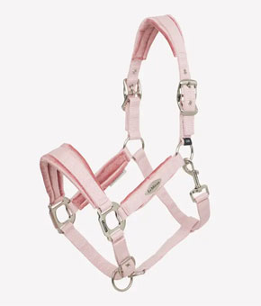 LeMieux Versailles Headcollar Blossom