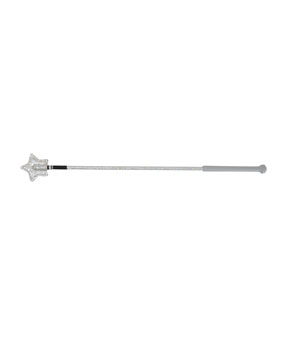 Hy Equestrian Riding Star Whip - Silver Glitter Hy Equestrian Riding Star Whip - Silver Glitter