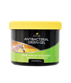Lincoln Antibacterial Green Gel Lincoln Antibacterial Green Gel
