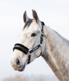 HyCONIC Faux Fur Head Collar & Lead Rope - Black HyCONIC Faux Fur Head Collar & Lead Rope - Black