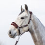 HyCONIC Faux Fur Head Collar & Lead Rope - Brown