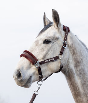 HyCONIC Faux Fur Head Collar & Lead Rope - Brown HyCONIC Faux Fur Head Collar & Lead Rope - Brown