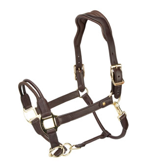 Shires Equestrian Velociti Lusso Soria Leather Headcollar - Havana