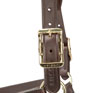 Shires Equestrian Velociti Lusso Soria Leather Headcollar - Havana