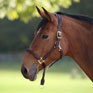 Shires Equestrian Velociti Lusso Soria Leather Headcollar - Havana
