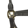 Shires Equestrian Velociti Lusso Soria Leather Headcollar
