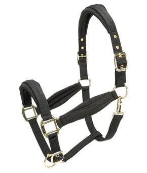 Shires Equestrian ARMA Padded Headcollar - Black