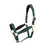 Shires Equestrian ARMA Padded Headcollar - Green