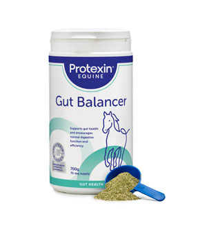 Protexin Equine Premium Gut Balancer