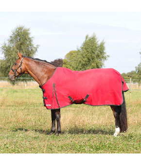 HyConic 100g Turnout Rug - Red/Charcoal
