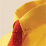 Equetech Showing Collar Pin & Chain - Gold