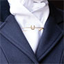 Equetech Traditional Horseshoe Stock Pin - Gold