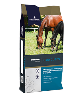 Dodson & Horrell Stud Cubes Dodson & Horrell Stud Cubes