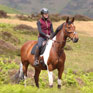 Aubrion Core Fleece Gilet - Maroon