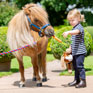 Winnie & Me Jodhpurs