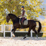 LeMieux Suede Dressage Square Rosemary