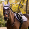 LeMieux Classic Fly Hood Lilac