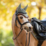 LeMieux Mini Classic Fly Hood Rosemary