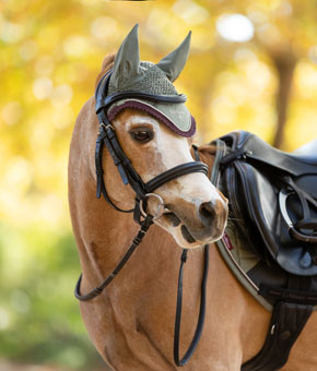 LeMieux Mini Classic Fly Hood Rosemary