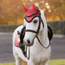 LeMieux Mini Classic Fly Hood Cranberry