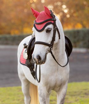 LeMieux Mini Classic Fly Hood Cranberry