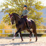 LeMieux Loire Classic Dressage Square Damson