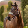 LeMieux Vogue Headcollar & Leadrope Damson