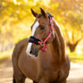 LeMieux Vogue Headcollar & Leadrope - Damson