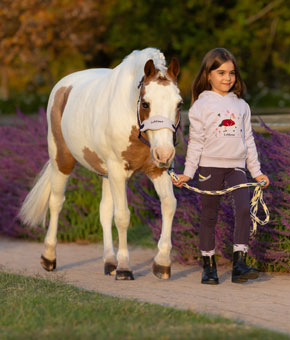 LeMieux Mini Vogue Headcollar & Leadrope Juniper LeMieux Mini Vogue Headcollar & Leadrope Juniper