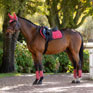 LeMieux Loire Classic Close Contact Square Cranberry
