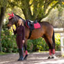LeMieux Loire Classic Close Contact Square Cranberry