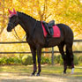 LeMieux Loire Classic Dressage Square Cranberry