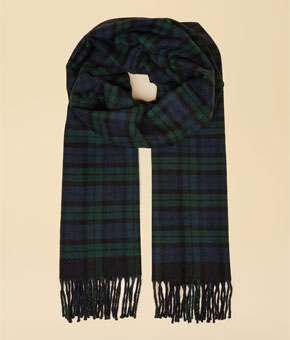 Joules Langtree Check Navy Scarf