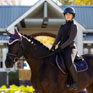 LeMieux Merino+ Loire Classic Close Contact Square Juniper