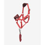 LeMieux Hobby Horse Headcollar Set - Cranberry