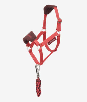LeMieux Hobby Horse Headcollar Set - Cranberry