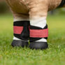 LeMieux Toy Pony Grafter Boots - Cranberry