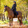 LeMieux Brooke Waterproof Hybrid Jacket Navy